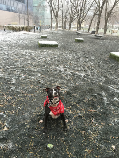 Dog Park «Gateway Dog Park», reviews and photos, 1099 S 4th Ave, Minneapolis, MN 55404, USA