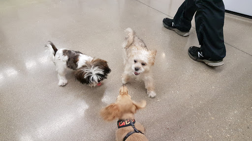 Pet Supply Store «Petco Animal Supplies», reviews and photos, 3194 FM407, Highland Village, TX 75077, USA