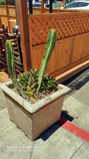 Restaurant «Poulet», reviews and photos, 1685 Shattuck Ave, Berkeley, CA 94709, USA