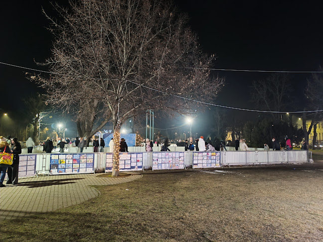 Zichy liget - Székesfehérvár