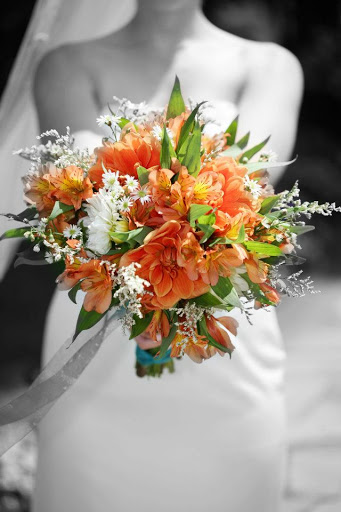 Florist «Stargazer Premier Florist», reviews and photos, 925 NW Circle Blvd, Corvallis, OR 97330, USA