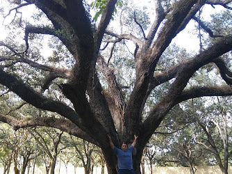 Chittohatchee Park at Honey Hill