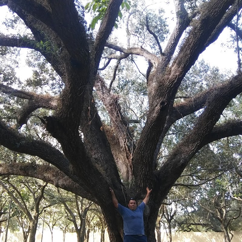 Chittohatchee Park at Honey Hill