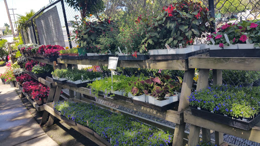 Florist «The Green Fashion Florist», reviews and photos, 915 S Claremont St, San Mateo, CA 94402, USA