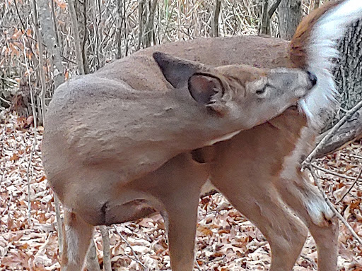 Nature Preserve «Oak Grove Nature Center», reviews and photos, 269 Oak Grove St, Manchester, CT 06040, USA
