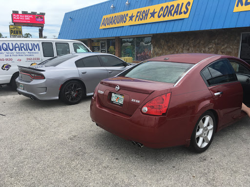 Pet Supply Store «Aquariums and Reptiles», reviews and photos, 11400 S Cleveland Ave, Fort Myers, FL 33907, USA