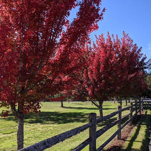 Park «Barton Park», reviews and photos, 19009 SE Barton Park Rd, Boring, OR 97009, USA