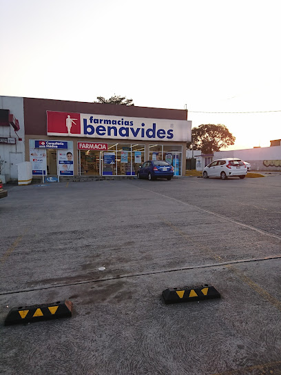 Farmacia Benavides, , Santa Matilde