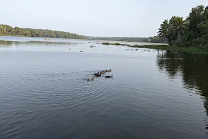 Vellayani Lake View Point, Kakkamoola Bund road image