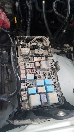 Lexus Dealer «Lexus of West Kendall», reviews and photos, 13750 SW 136th St, Miami, FL 33186, USA