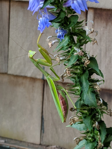 Nature Preserve «Audubon Greenwich», reviews and photos, 613 Riversville Rd, Greenwich, CT 06831, USA