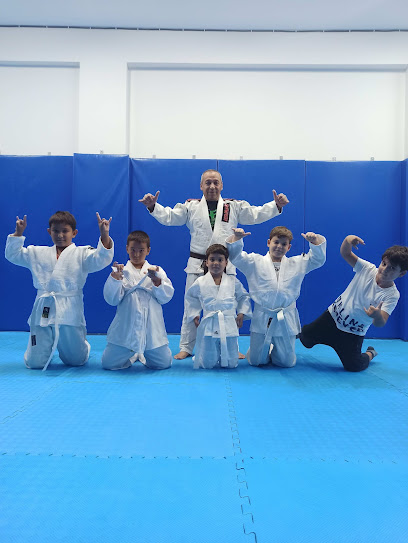 İzmir Brazilian Jiu Jitsu Gençlik ve ihtisas Spor Kulübü
