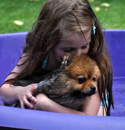 Pet Groomer «Soggy Dog Grooming And Pet Supplies», reviews and photos, 344 E 4th St, Long Beach, CA 90802, USA