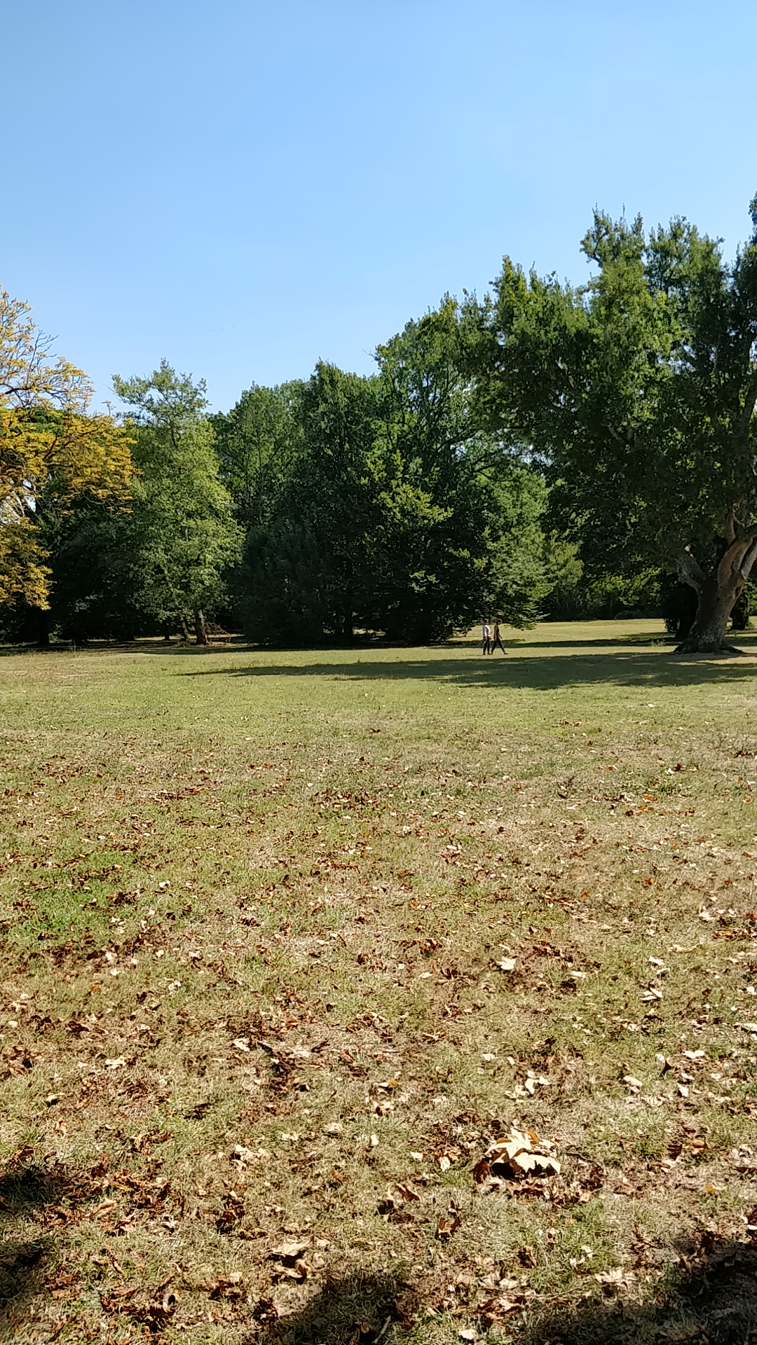 Photo n° 1 de l'avis de Alexis.a fait le 07/09/2018 à 11:27