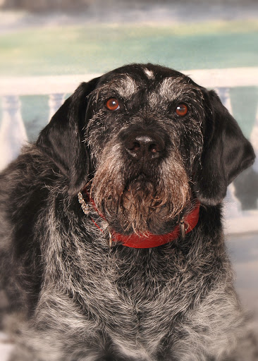 Pet Supply Store «Pet X Supplies & Tack», reviews and photos, 132 W Highland Rd Suite 101, Howell, MI 48843, USA