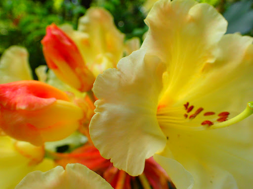 Place of Worship «The Grotto», reviews and photos, 8840 NE Skidmore St, Portland, OR 97220, USA