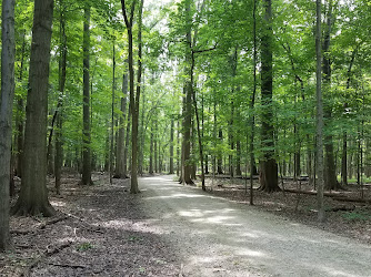 Gully Brook Park