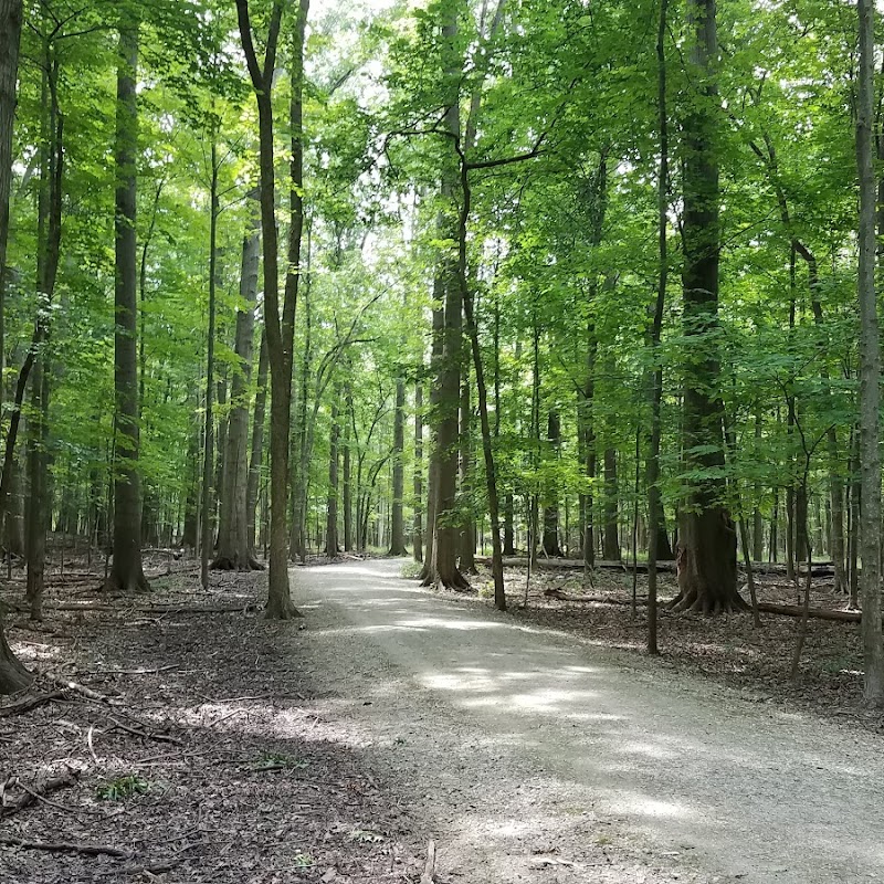 Gully Brook Park