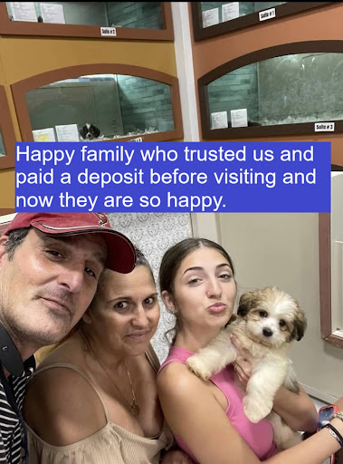 The Houston puppies for sale