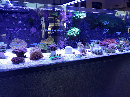 Aquarium Shop «Apex Aquarium», reviews and photos, 11111 N Central Expy, Dallas, TX 75243, USA