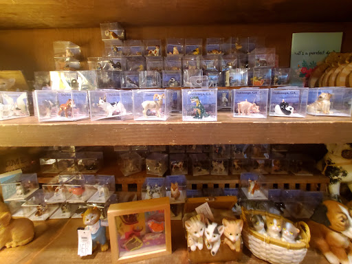 General Store «Dahlonega General Store», reviews and photos, 24 Public Square, Dahlonega, GA 30533, USA