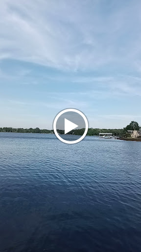 Dollar Store «Dollar Tree», reviews and photos, 723 W State Rte 22, Lake Zurich, IL 60047, USA