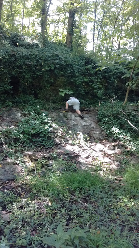 Gym «Doling Family Center», reviews and photos, 301 E Talmage St, Springfield, MO 65803, USA