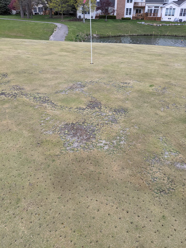 Golf Club «Bushwood Golf Course», reviews and photos, 39430 Dun Rovin Dr, Northville, MI 48168, USA