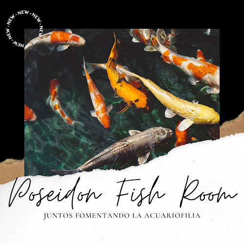 Opiniones de Poseidon Fish Room en San Antonio - Tienda