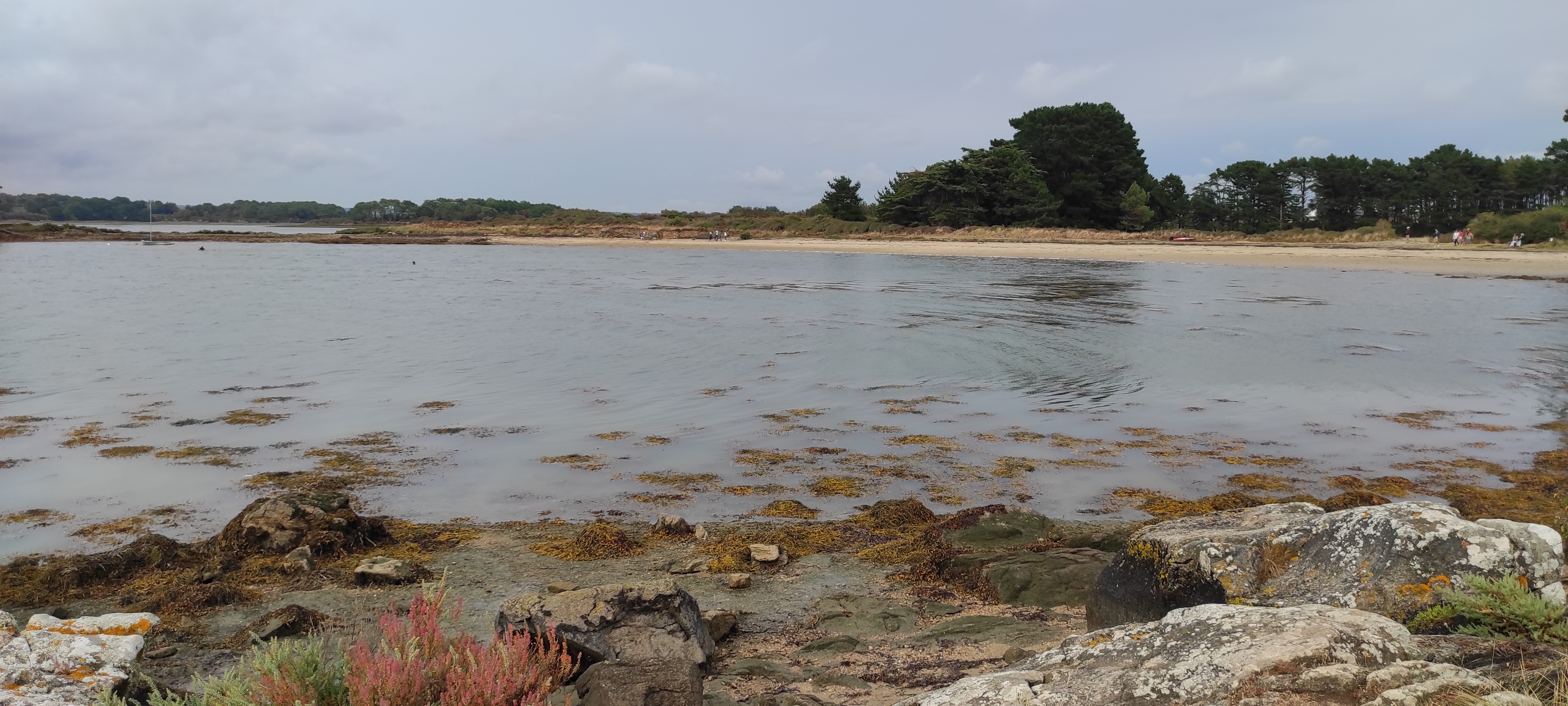 Photo n° 6 de l'avis de Guillaume.a fait le 14/08/2022 à 18:19