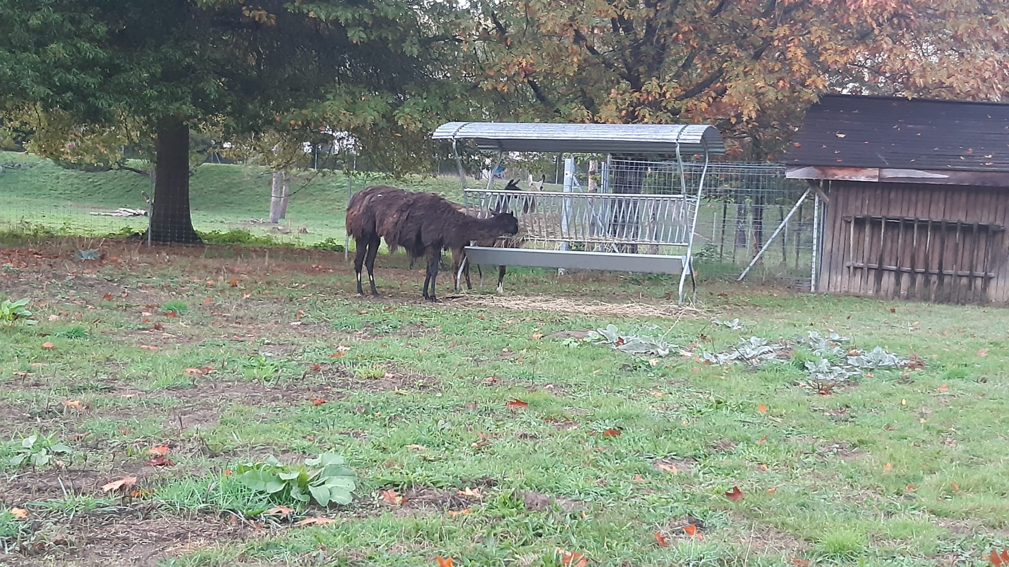 Photo n° 17 de l'avis de Haly.h fait le 30/10/2023 à 17:59