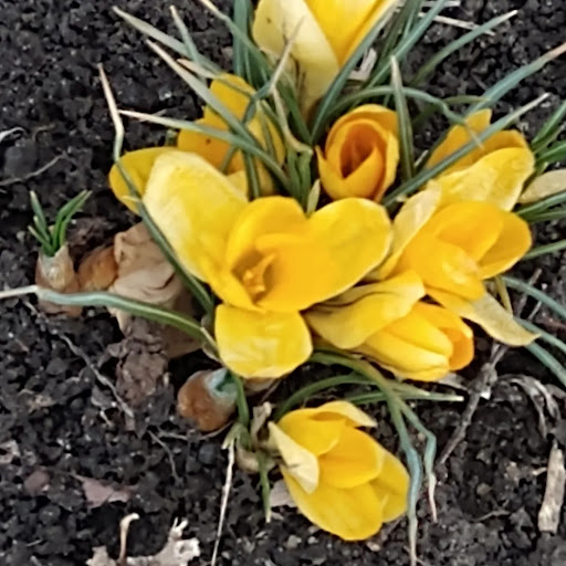 Thrift Store «Second Blessing Thrift Store Inc.», reviews and photos, 2323 Central Ave, Wichita, KS 67214, USA