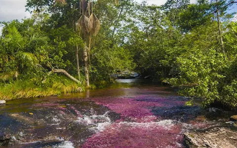 Turismo Caño Cristales La Macarena image