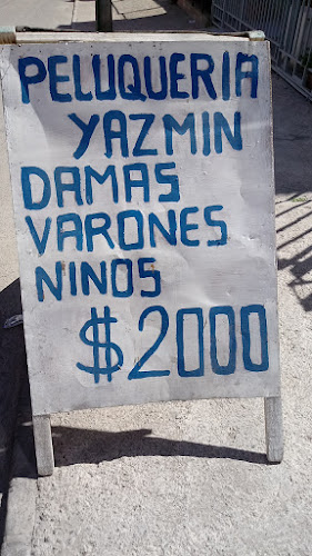 Opiniones de Peluquería Yazmin en Coquimbo - Barbería