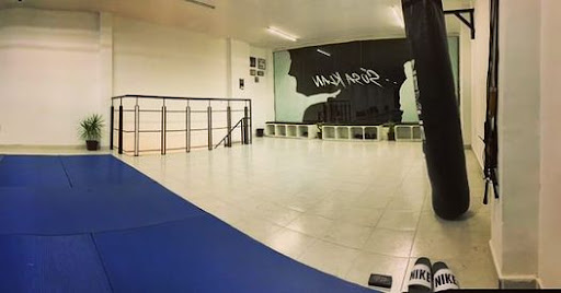 Escuela de artes marciales Torreón
