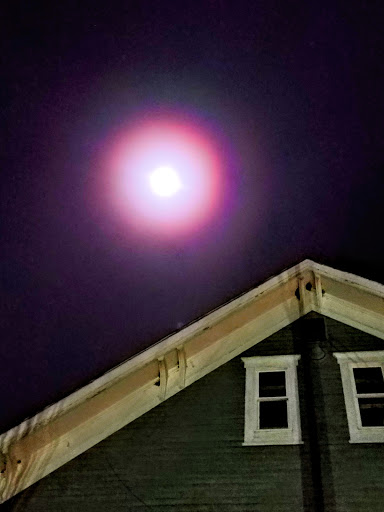 Explore black widow tattoo ideas, creative tattoo ideas in North Conway, available at Ampersand Tattoo