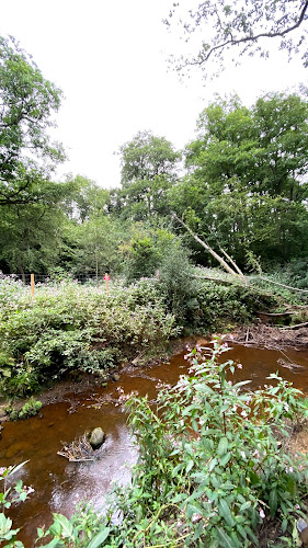 Comments and reviews of Pooh Sticks Bridge
