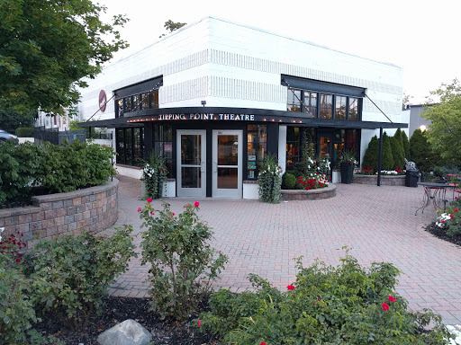 Performing Arts Theater «Tipping Point Theatre», reviews and photos, 361 E Cady St, Northville, MI 48167, USA