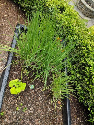 Tourist Attraction «Gum Wall», reviews and photos, 1428 Post Alley, Seattle, WA 98101, USA