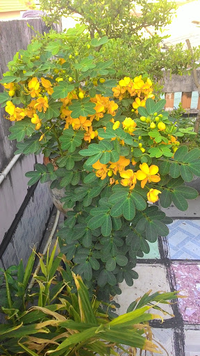 Nhà Nghỉ Hồng Ngân 1