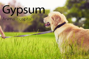 Gypsum Animal Hospital image