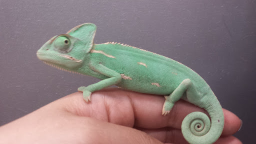 Pet Supply Store «Petco Animal Supplies», reviews and photos, 4751 W 29th St, Greeley, CO 80634, USA