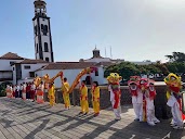Asociacion para la Promocion y Divulgacion de la Cultura y el Idioma Chino en Canarias