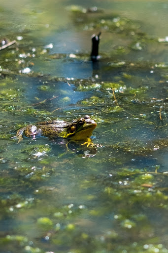 Nature Preserve «DeGraaf Nature Center», reviews and photos, 600 Graafschap Rd, Holland, MI 49423, USA