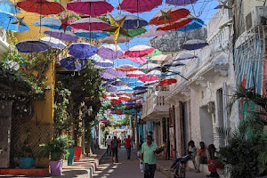 Juan Ballena | Travel Experiences in Cartagena image