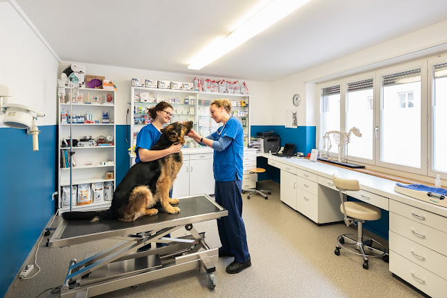 Rezensionen über Kleintierpraxis Mühlebach GmbH in Zürich - Tierarzt
