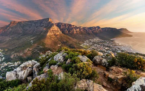 Table Mountain National Park image