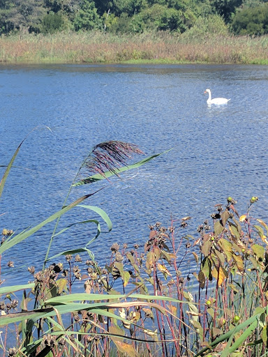 State Park «Cape May Point State Park», reviews and photos, Light House Ave, Cape May Point, NJ 08212, USA
