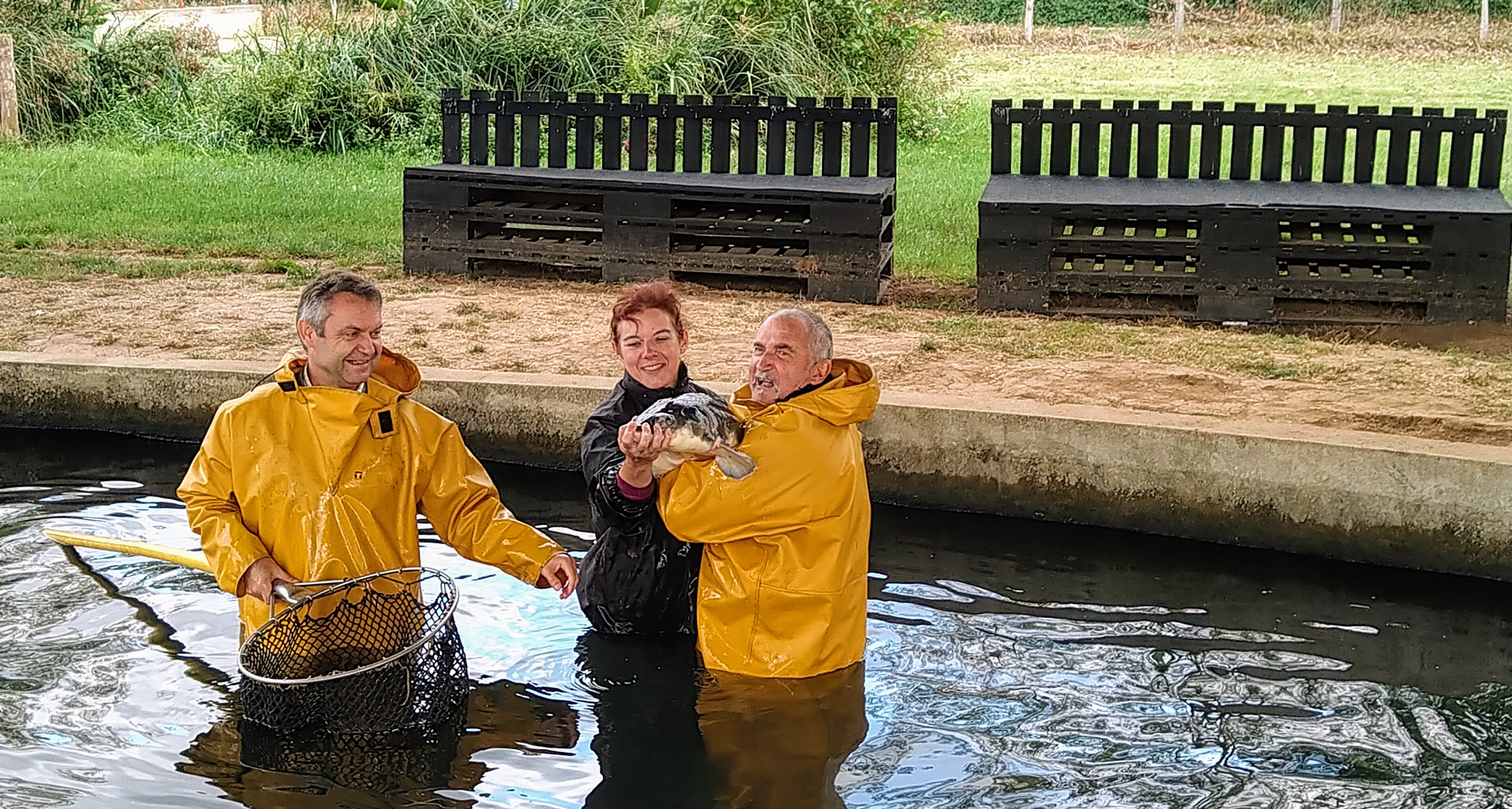 Photo n° 3 de l'avis de Annie.A fait le 29/09/2020 à 14:48