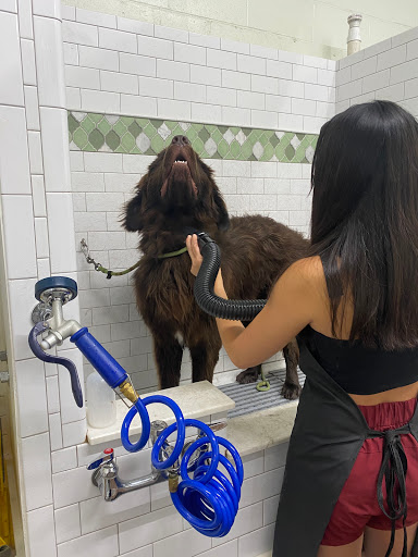 Pet Supply Store «Northside Grange», reviews and photos, 4116 Hamilton Ave, Cincinnati, OH 45223, USA